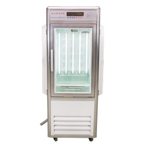 С���������������